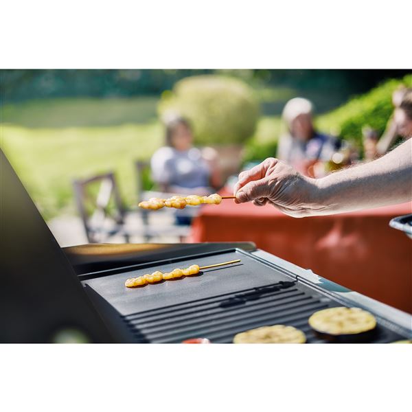 Barbecue Gril TKG EBBQ 1002L